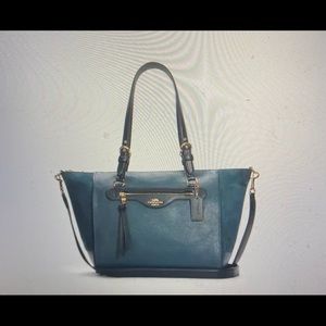 Coach Kleo Carryall NWT